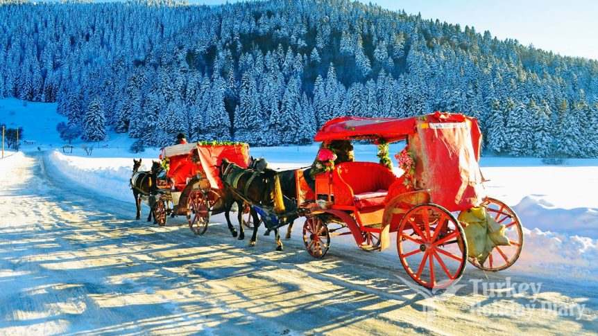 Natural Beauty Abant Lake