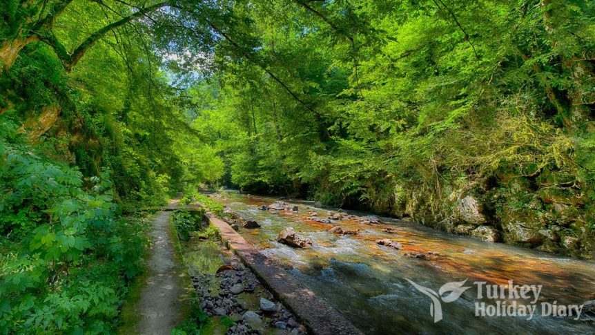 Maden Stream and Waterfall